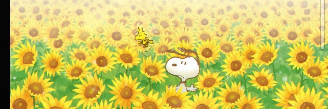 suesnoopy0709's profile banner image