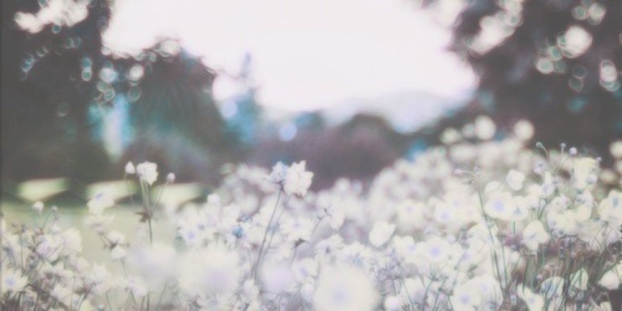 itselaylosagdr's profile banner image