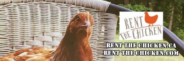 RentTheChicken's profile banner image