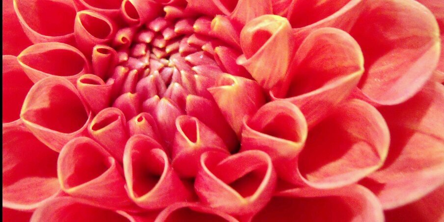 cherrybomb1396's profile banner image