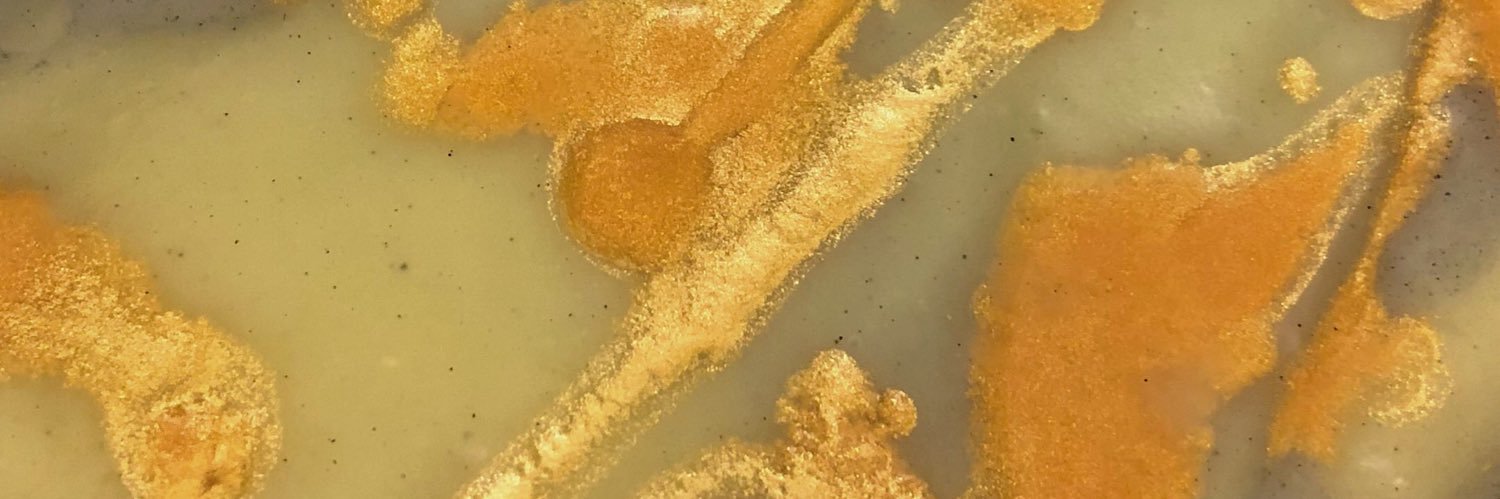 BAD MOUTH SOAP banner