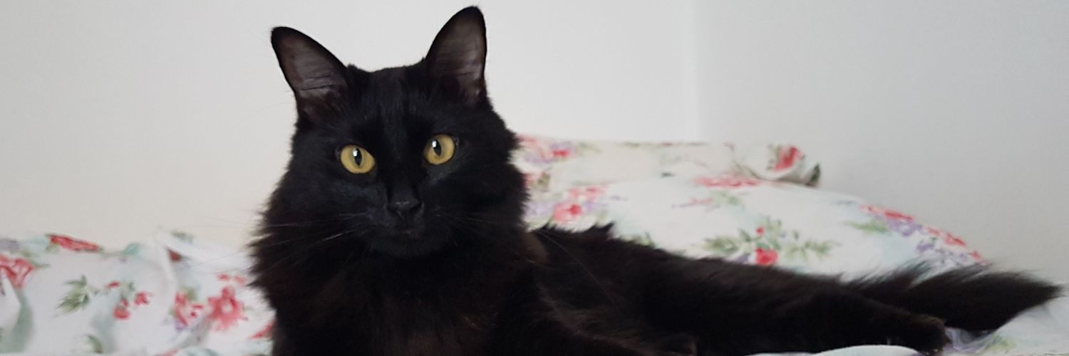 JuuhPinky's profile banner image