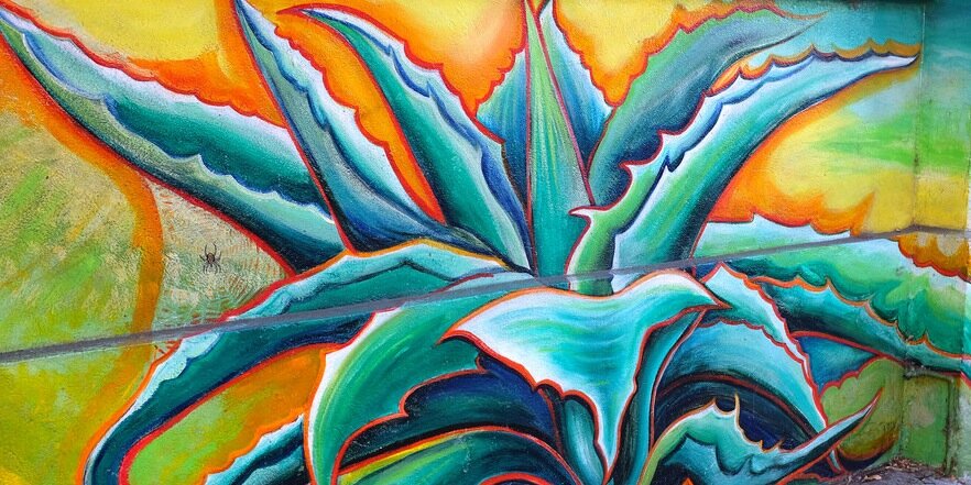 AngryChicana's profile banner image