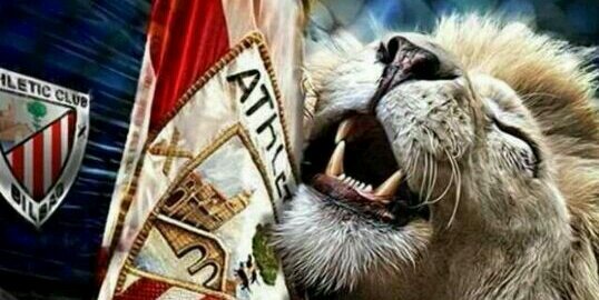 alainrojo's profile banner image
