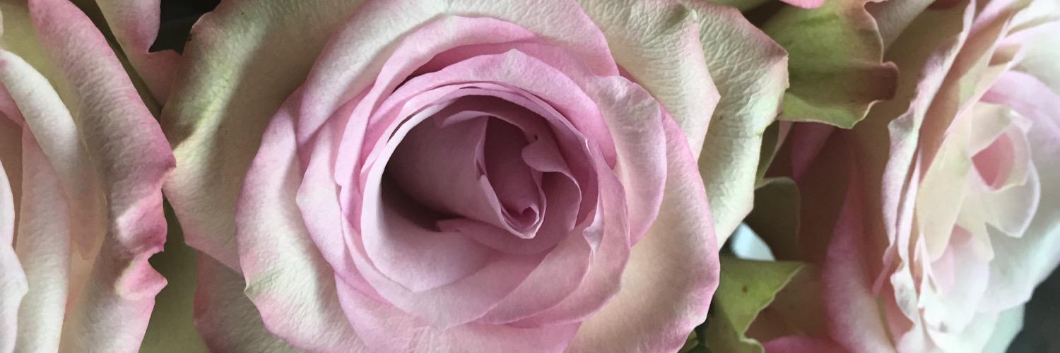 JessieeeeMartin's profile banner image