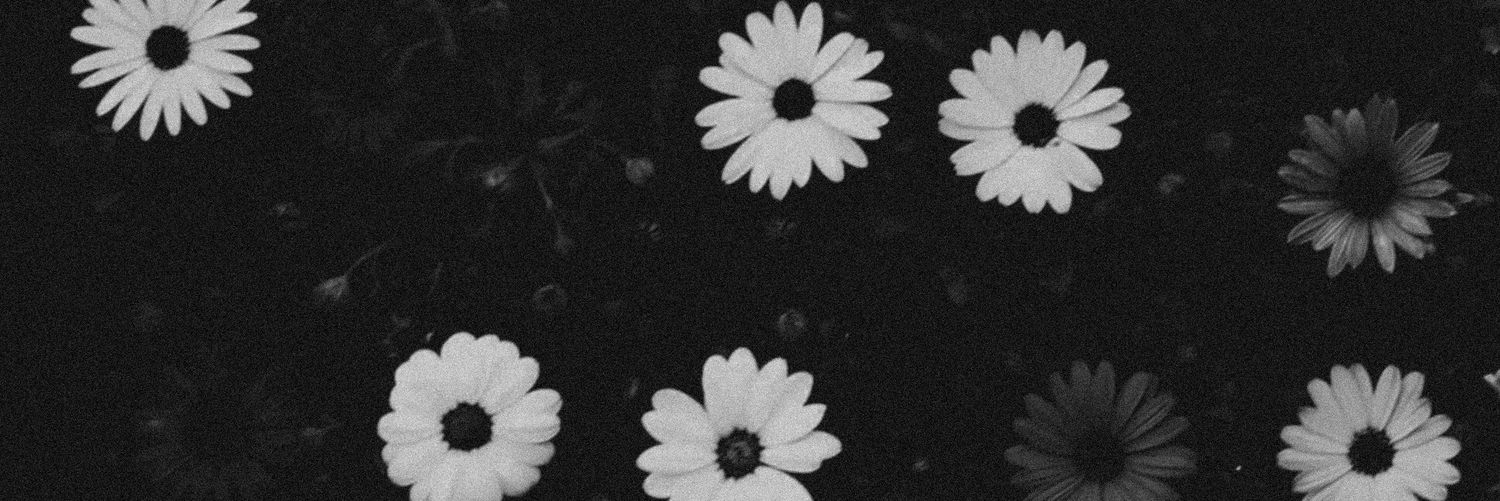 larimassucato's profile banner image