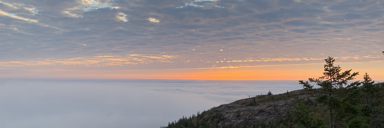 Justin Land banner