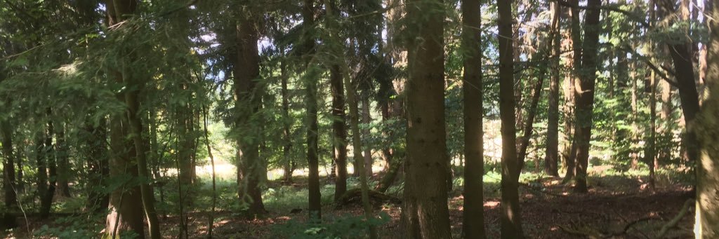 Katja_Mey's profile banner image