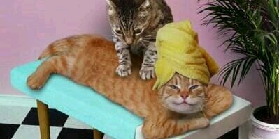 Jo Ann Lawrence banner