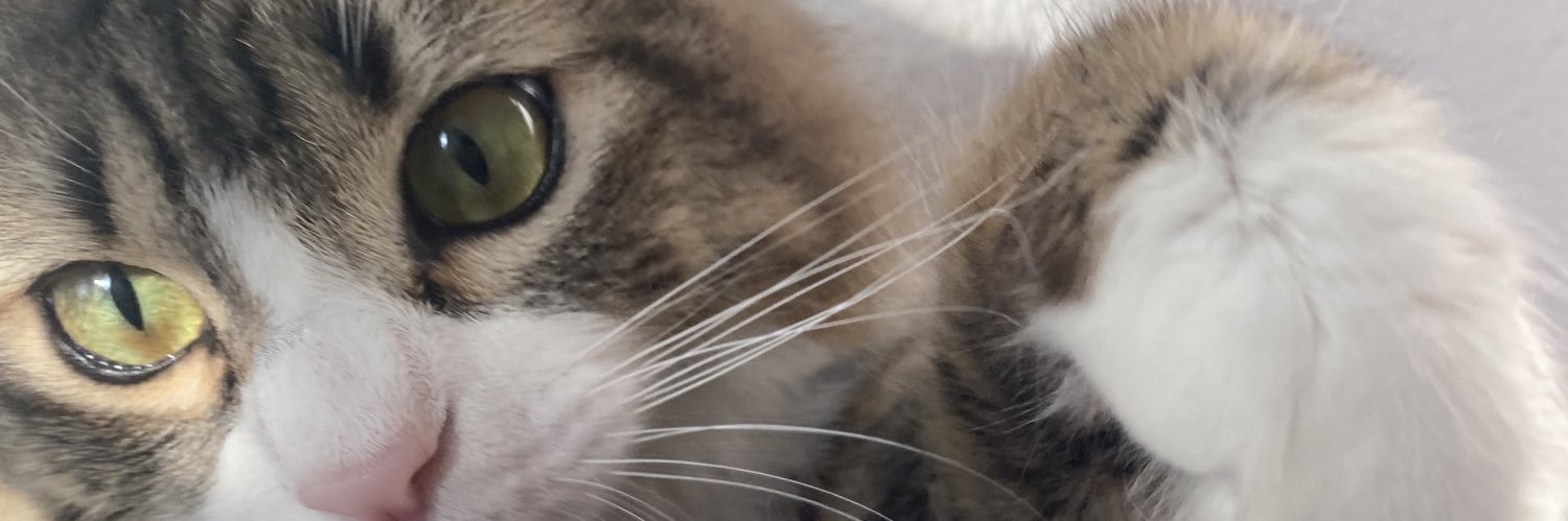 overthesej's profile banner image