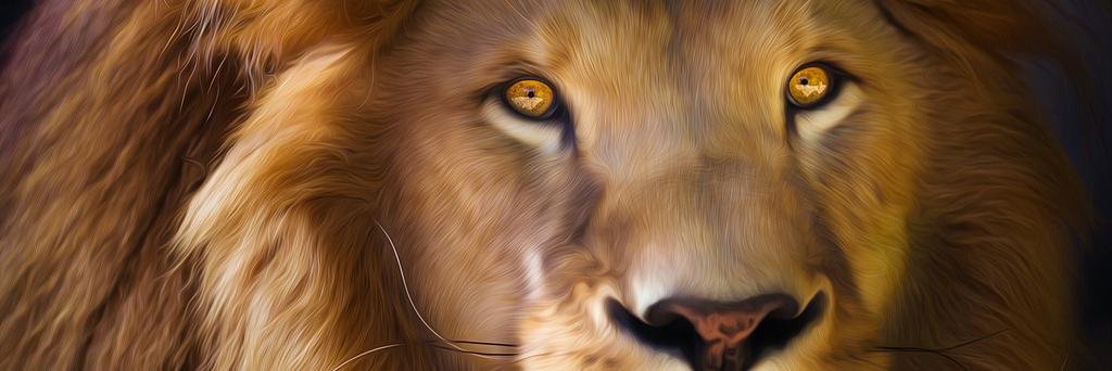 Animals NatGeo banner