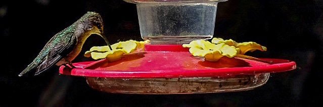 Dave Sullivan banner