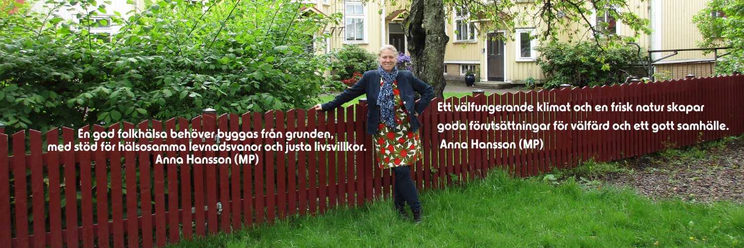 AnnaHanssonMP's profile banner image