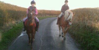 joanne bilton banner