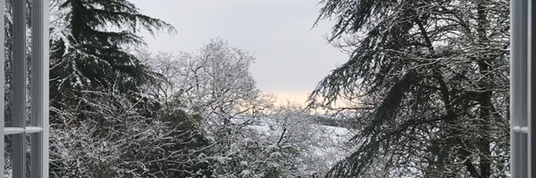 sue_wilkinsPHNT Profile Banner