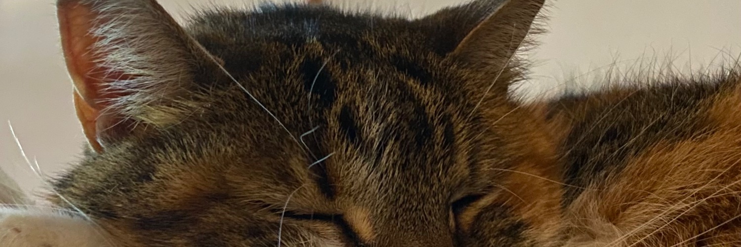 Luciaaarca's profile banner image