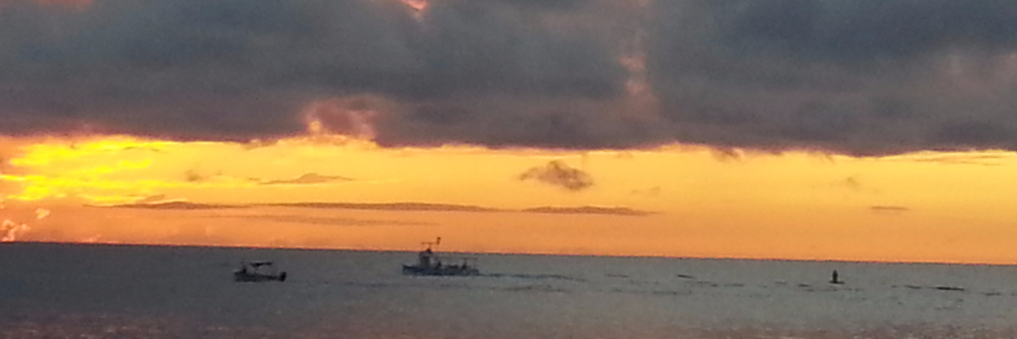 Dr. Joyce M. Albert banner