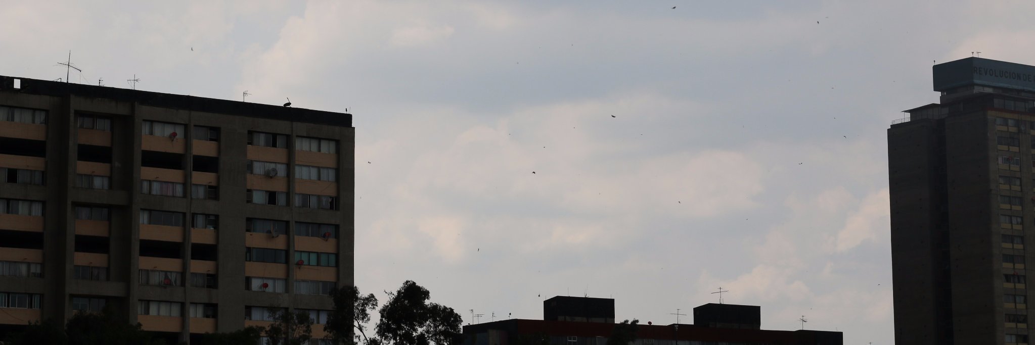 brecare's profile banner image