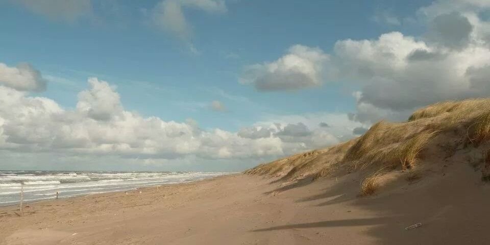 Carosdaydream's profile banner image
