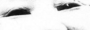 megabilstein's profile banner image