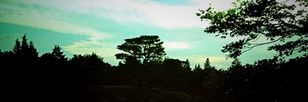 ebouchi Profile Banner