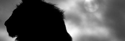 GeorgiaR_Magcon's profile banner image