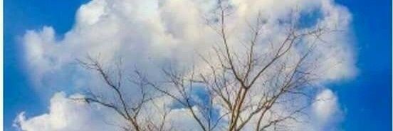 Alexsandro Chaud banner