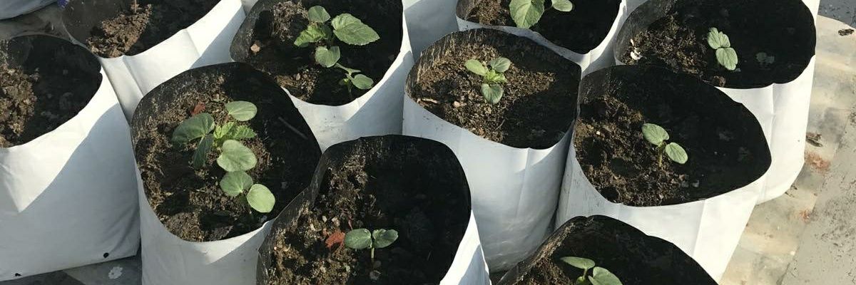 jagdeep555's profile banner image