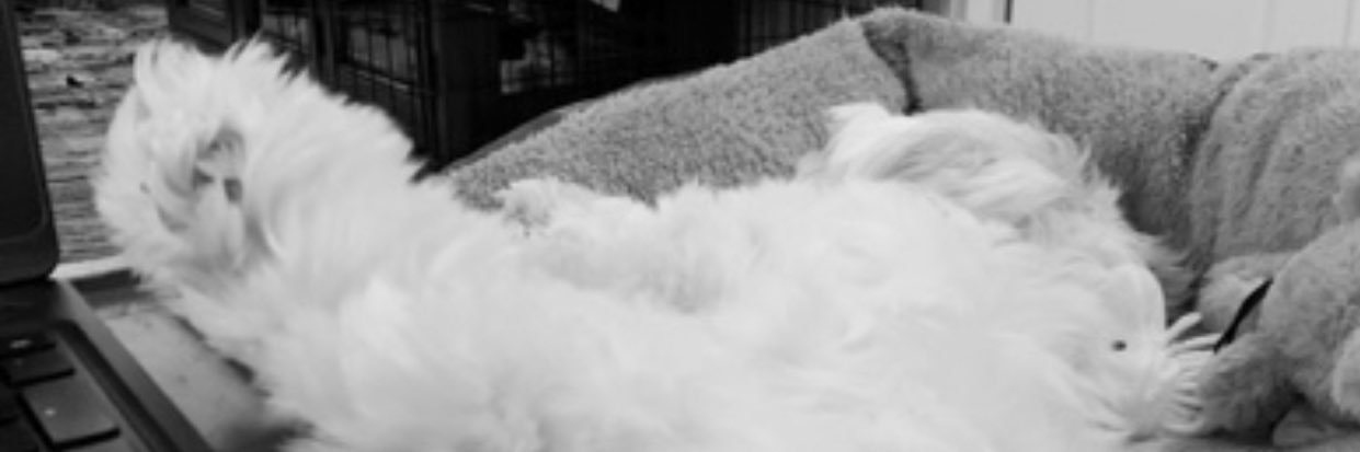 realityCheck101's profile banner image