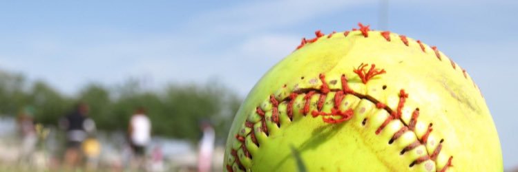 Township Softball banner