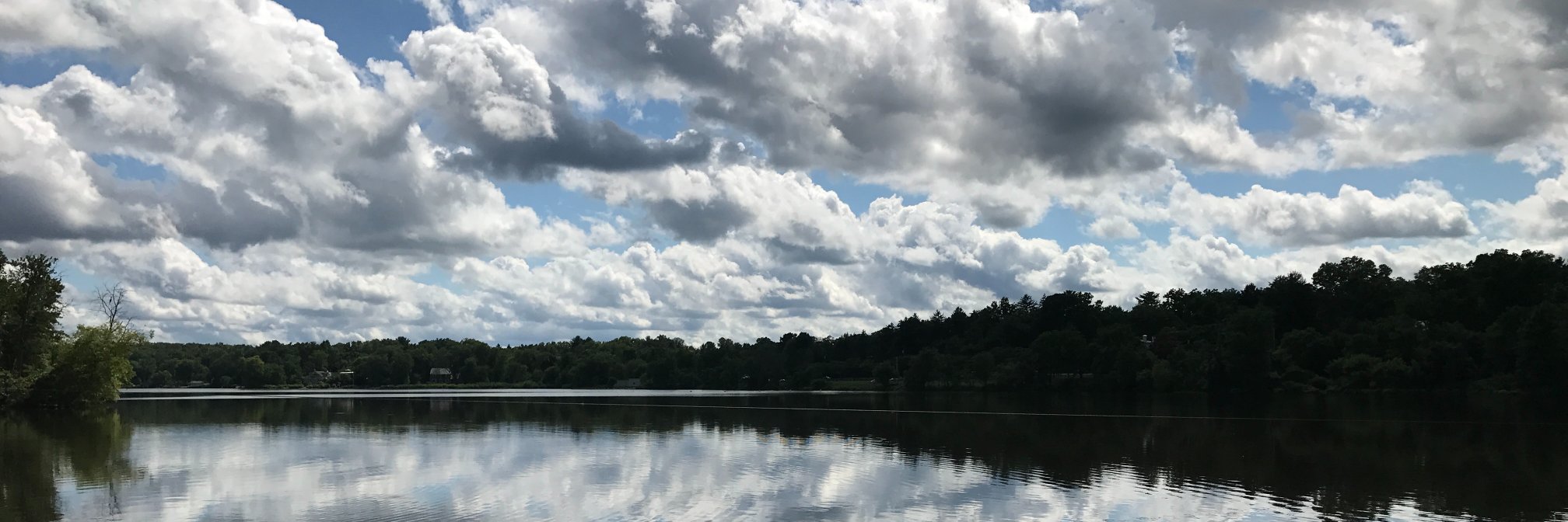 Tone_rep's profile banner image