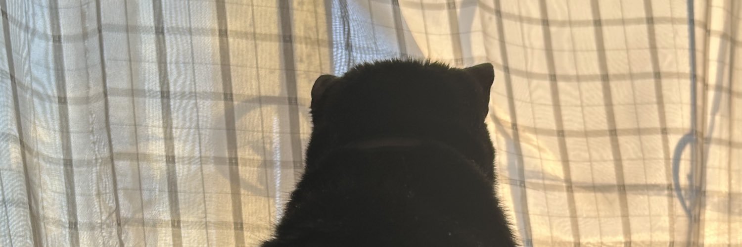 zBarbieh's profile banner image