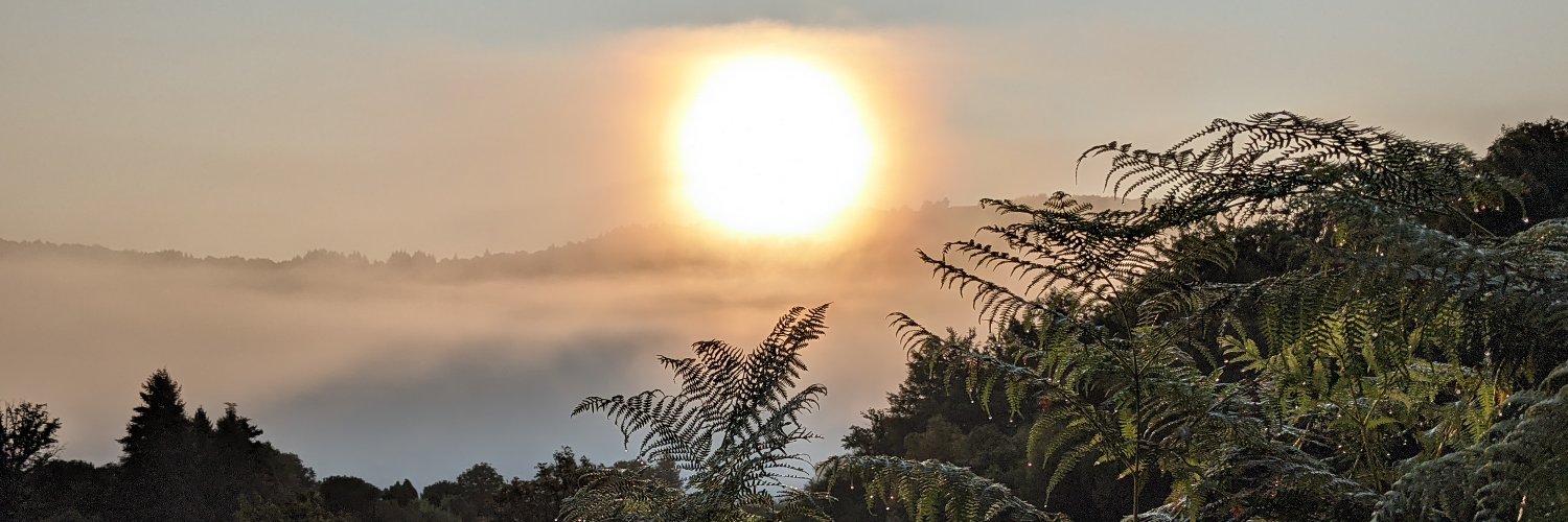 Yoann Labroux Satabin banner