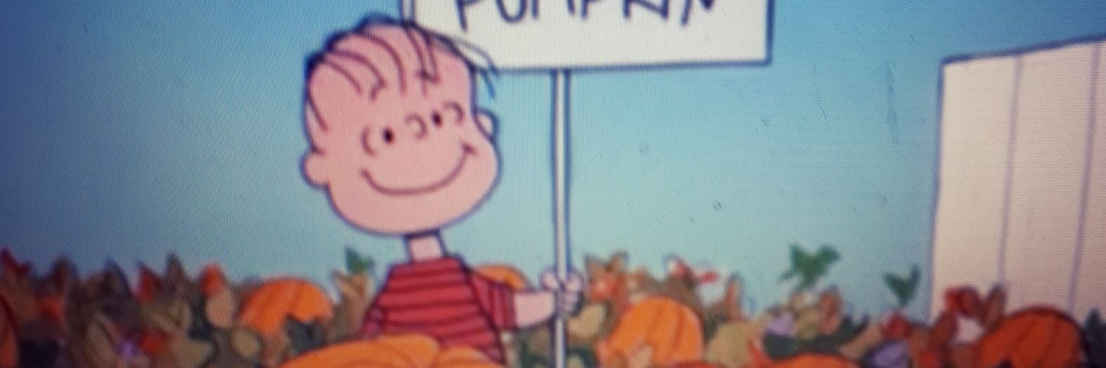 SeanFiveOne's profile banner image