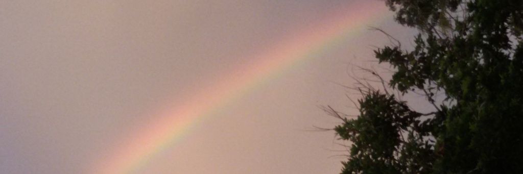 pridan1's profile banner image
