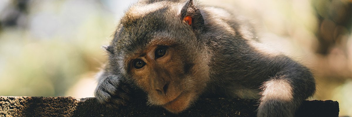 IsaacVaughan_'s profile banner image