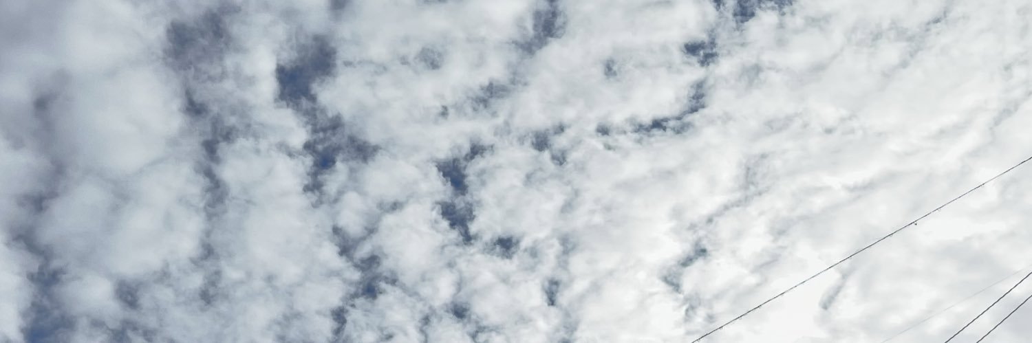 elsAnthem's profile banner image