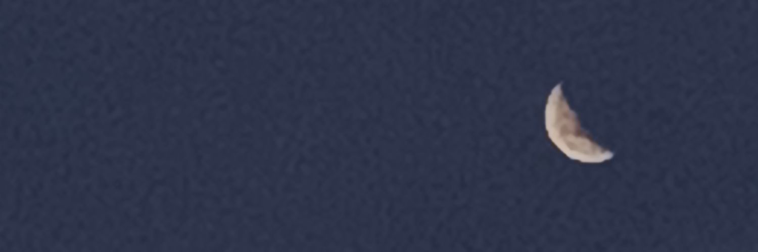 MicuGrosso's profile banner image
