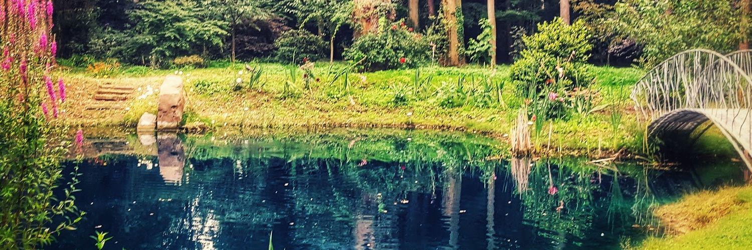 TitchyMixz's profile banner image