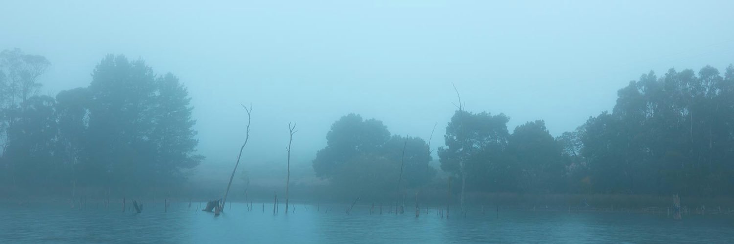Ivan Lee banner