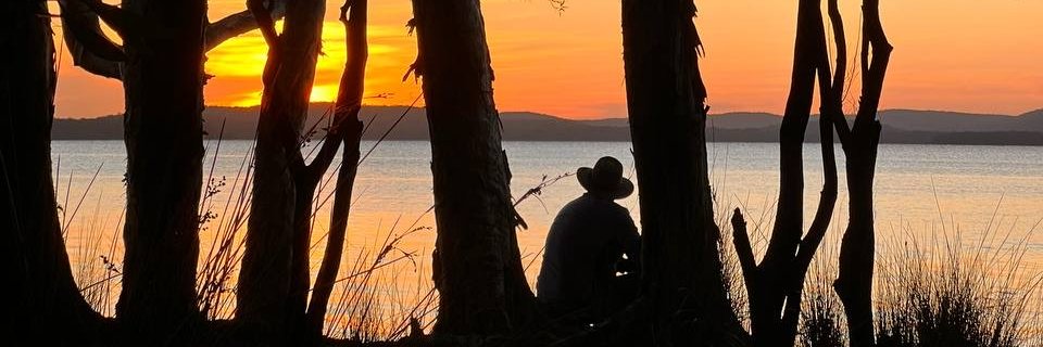 ziggla_z's profile banner image