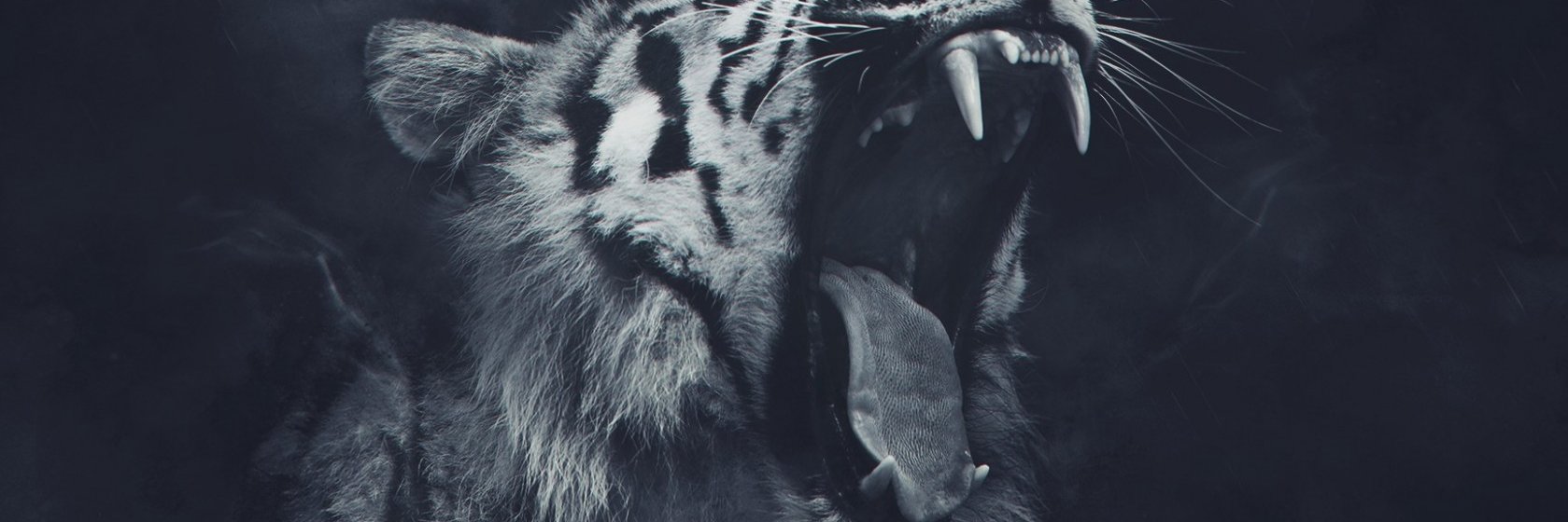 Advoo's profile banner image