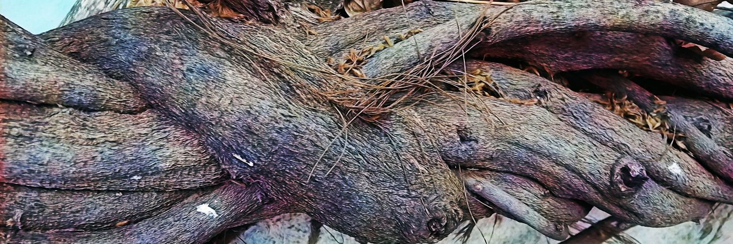 geceormani's profile banner image