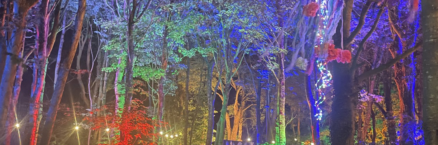 TheRealGeorge_'s profile banner image