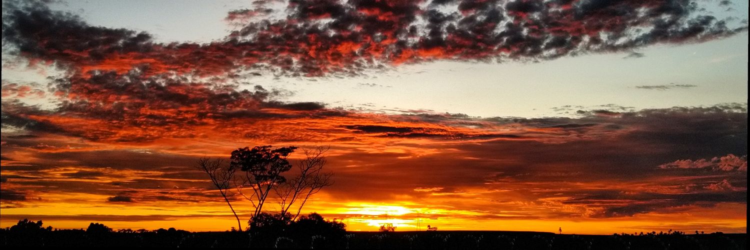 Rê Natinha🐾 banner