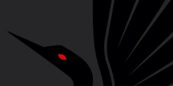 BreeMNUnited's profile banner image