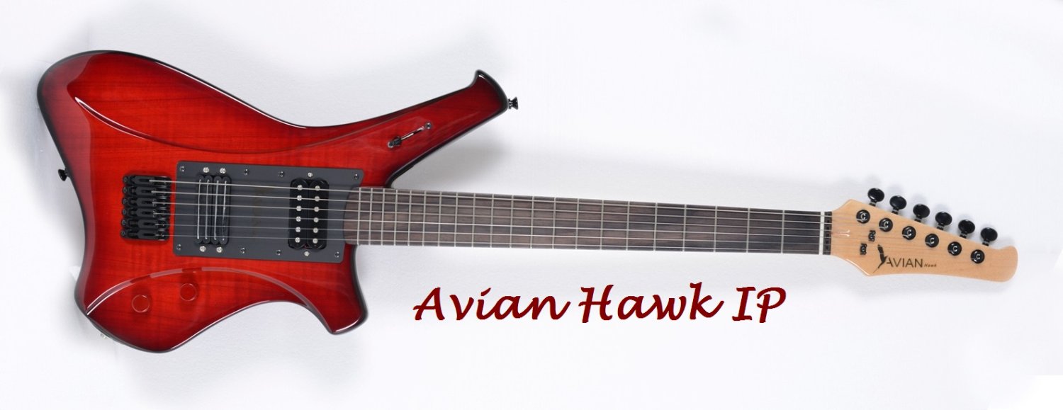 Avian Guitars Canada banner