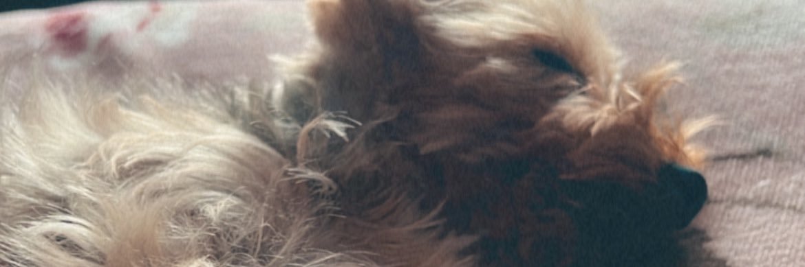 _ifcf's profile banner image
