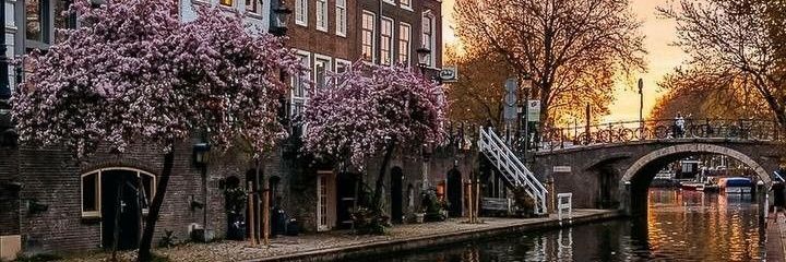 ʍꀤrꀤAm♋️ banner