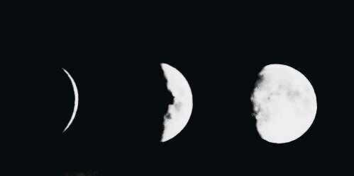 Daniel. banner